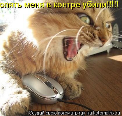 Котоматрица: опять меня в контре убили!!!!!