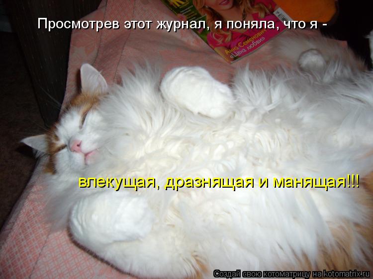 Котоматрица: Просмотрев этот журнал, я поняла, что я -  влекущая, дразнящая и манящая!!!