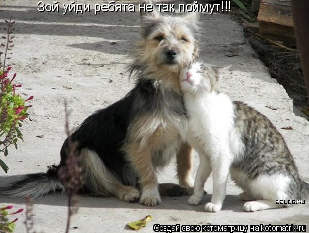 Зой уйди ребята не так поймут!!!... Котоматрица: Зой уйди ребята не так поймут!!!