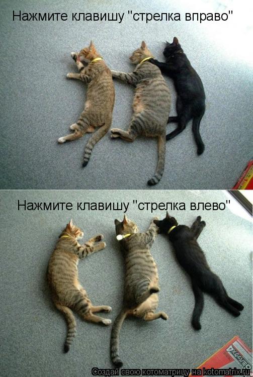Нажмите клавишу "стрелка вправо" Нажмите клавишу "стрелка влево"... Котоматрица: Нажмите клавишу "стрелка вправо" Нажмите клавишу "стрелка влево"