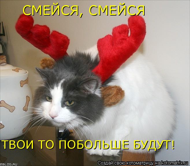 СМЕЙСЯ, СМЕЙСЯ ТВОИ ТО ПОБОЛЬШЕ БУДУТ!... Котоматрица: СМЕЙСЯ, СМЕЙСЯ ТВОИ ТО ПОБОЛЬШЕ БУДУТ!
