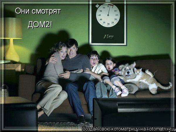 Они смотрят ДОМ2!... Котоматрица: Они смотрят ДОМ2!