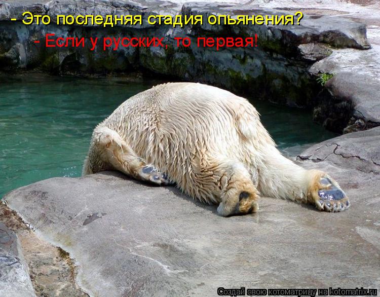 - Это последняя стадия опьянения? - Если у русских, то первая!... Котоматрица: - Это последняя стадия опьянения? - Если у русских, то первая!