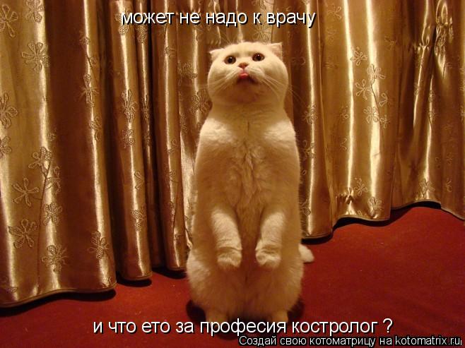 Котоматрица: может не надо к врачу и что ето за професия костролог ?