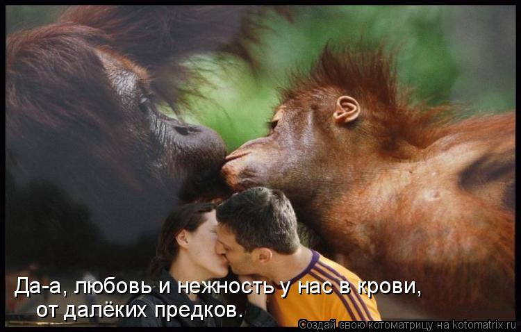 Да-а, любовь и нежность у нас в крови, от далёких предков.... Котоматрица: Да-а, любовь и нежность у нас в крови, от далёких предков.