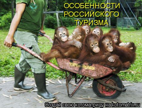 ОСОБЕННОСТИ РОССИЙСКОГО ТУРИЗМА... Котоматрица: ОСОБЕННОСТИ РОССИЙСКОГО ТУРИЗМА