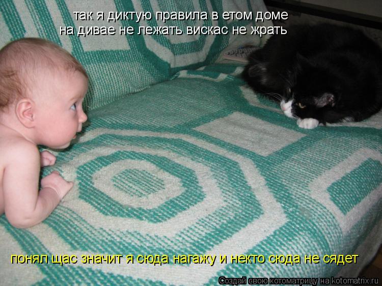 Котоматрица: так я диктую правила в етом доме на дивае не лежать вискас не жрать понял щас значит я сюда нагажу и некто сюда не сядет