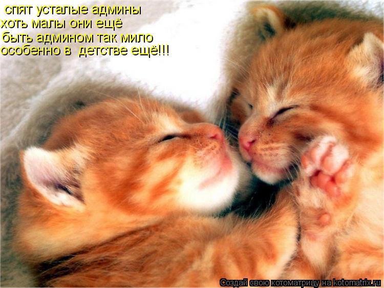 спят усталые админы хоть малы они ещё быть админом так мило особенно в детстве ещё!!!... Котоматрица: спят усталые админы хоть малы они ещё быть админом так мило особенно в детстве ещё!!!