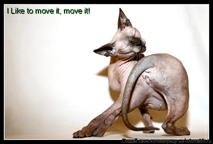 I Like to move it, move it!... Котоматрица: I Like to move it, move it!