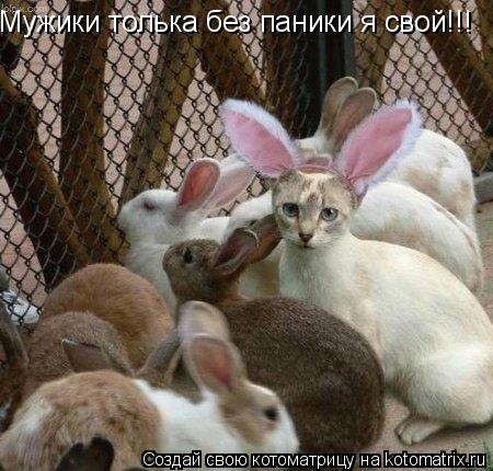 Мужики толька без паники я свой!!!... Котоматрица: Мужики толька без паники я свой!!!