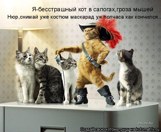 Я-бесстрашный кот в сапогах,гроза мышей Нюр,снимай уже костюм маскарад уж полчаса как кончился...... Котоматрица: Я-бесстрашный кот в сапогах,гроза мышей Нюр,снимай уже костюм маскарад уж полчаса как кончился...
