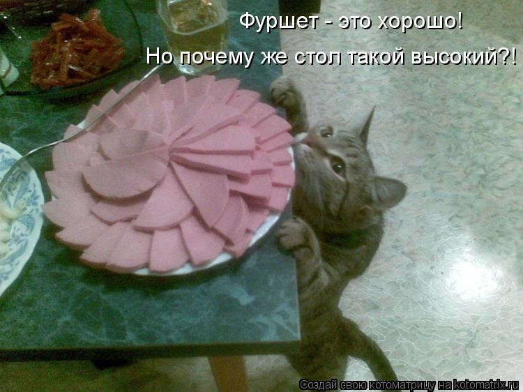 Котоматрица: Фуршет - это хорошо! Но почему же стол такой высокий?!