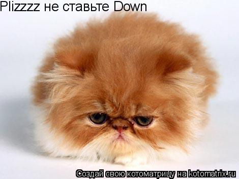 Plizzzz не ставьте Down... Котоматрица: Plizzzz не ставьте Down