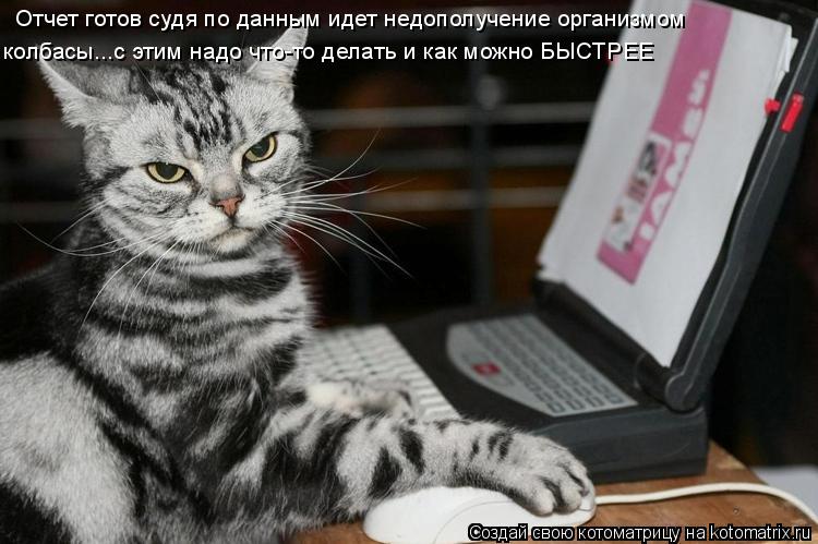 Отчет готов судя по данным идет недополучение организмом колбасы...с этим надо что-то делать и как м... Котоматрица: Отчет готов судя по данным идет недополучение организмом колбасы...с этим надо что-то делать и как можно БЫСТРЕЕ