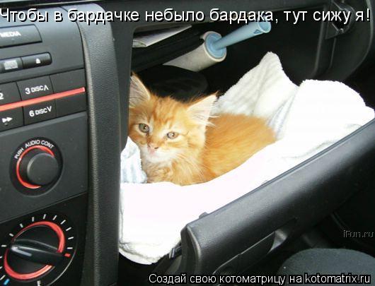 Чтобы в бардачке небыло бардака, тут сижу я!... Котоматрица: Чтобы в бардачке небыло бардака, тут сижу я!