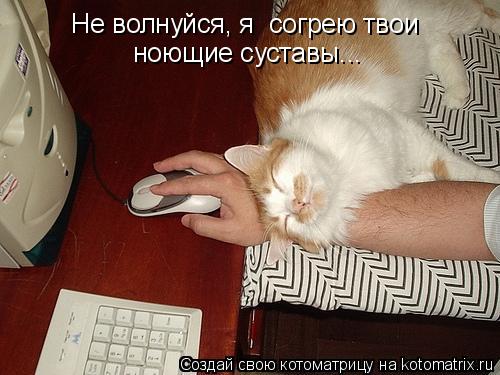 Котоматрица: Не волнуйся, я  согрею твои ноющие суставы...
