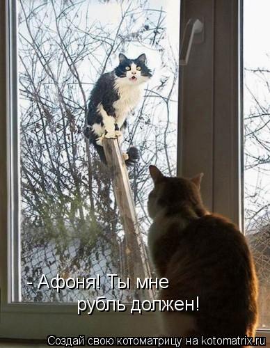 - Афоня! Ты мне рубль должен!... Котоматрица: - Афоня! Ты мне рубль должен!