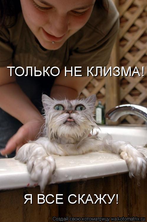 ТОЛЬКО НЕ КЛИЗМА! Я ВСЕ СКАЖУ!... Котоматрица: ТОЛЬКО НЕ КЛИЗМА! Я ВСЕ СКАЖУ!