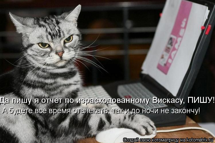 Да пишу я отчет по израсходованному Вискасу, ПИШУ! А будете все время отвлекать, так и до ночи не зак... Котоматрица: Да пишу я отчет по израсходованному Вискасу, ПИШУ! А будете все время отвлекать, так и до ночи не закончу!