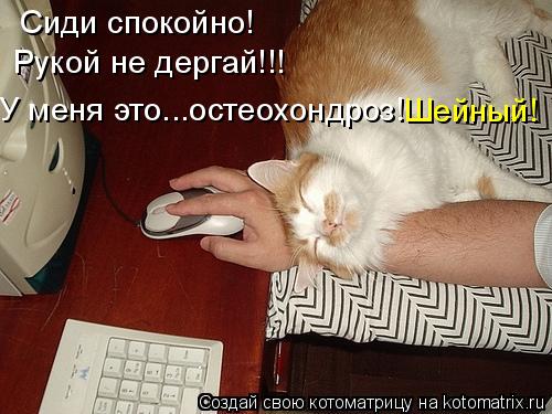 Сиди спокойно! Рукой не дергай!!! У меня это...остеохондроз! Шейный!... Котоматрица: Сиди спокойно! Рукой не дергай!!! У меня это...остеохондроз! Шейный!