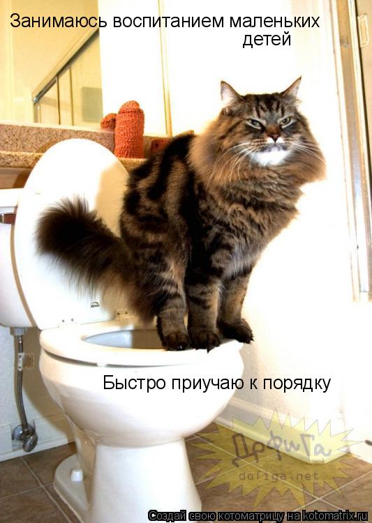 Занимаюсь воспитанием маленьких детей Быстро приучаю к порядку... Котоматрица: Занимаюсь воспитанием маленьких детей Быстро приучаю к порядку