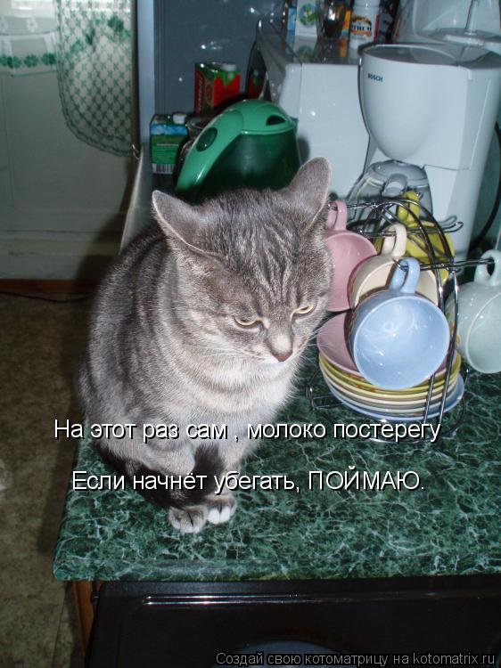 На этот раз сам , молоко постерегу Если начнёт убегать, ПОЙМАЮ.... Котоматрица: На этот раз сам , молоко постерегу Если начнёт убегать, ПОЙМАЮ.