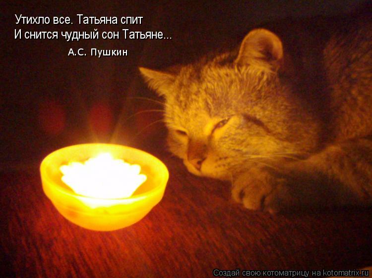 Утихло все. Татьяна спит И снится чудный сон Татьяне... А.С. Пушкин... Котоматрица: Утихло все. Татьяна спит И снится чудный сон Татьяне... А.С. Пушкин