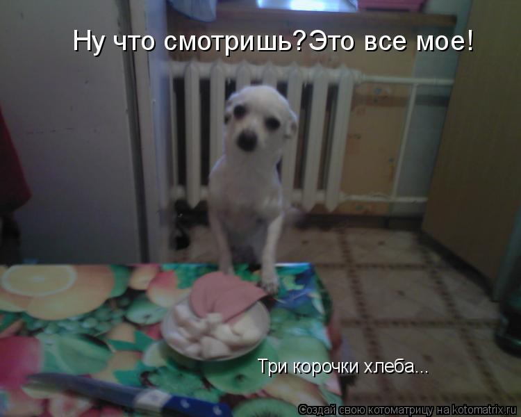 Ну что смотришь?Это все мое! Три корочки хлеба... Три корочки хлеба...... Котоматрица: Ну что смотришь?Это все мое! Три корочки хлеба... Три корочки хлеба...