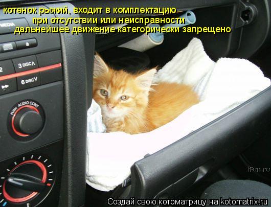 котенок рыжий, входит в комплектацию при отсутствии или неисправности дальнейшее движение категориче... Котоматрица: котенок рыжий, входит в комплектацию при отсутствии или неисправности дальнейшее движение категорически запрещено