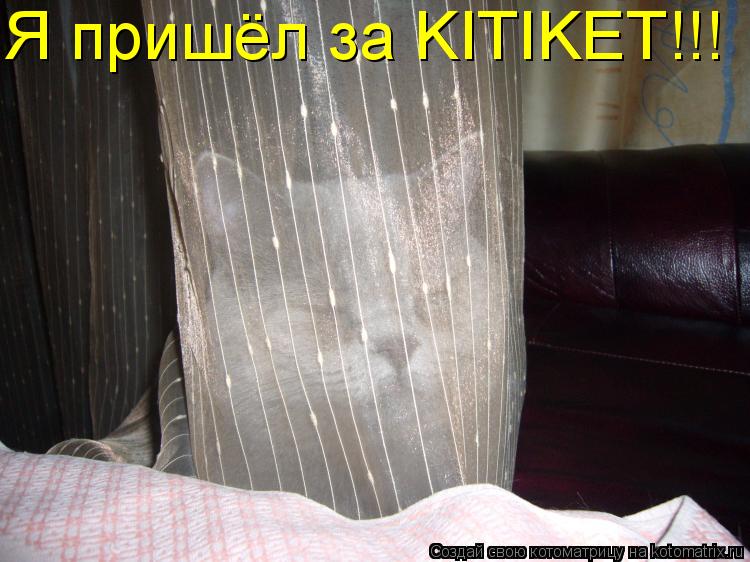 Котоматрица: Я пришёл за KITIKET!!!