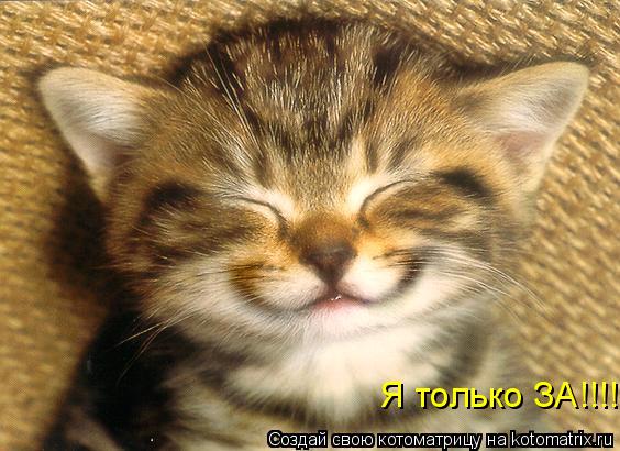 Я только ЗА!!!!... Котоматрица: Я только ЗА!!!!