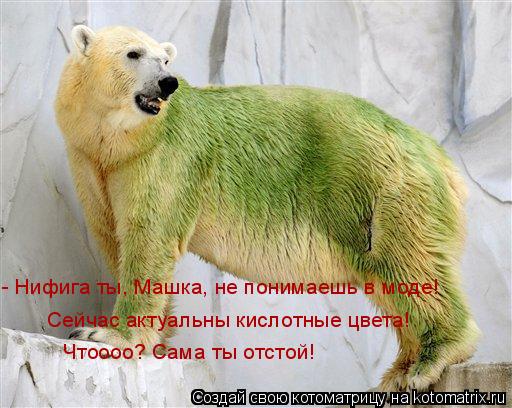 - Нифига ты, Машка, не понимаешь в моде! Сейчас актуальны кислотные цвета! Чтоооо? Сама ты отстой!... Котоматрица: - Нифига ты, Машка, не понимаешь в моде! Сейчас актуальны кислотные цвета! Чтоооо? Сама ты отстой!
