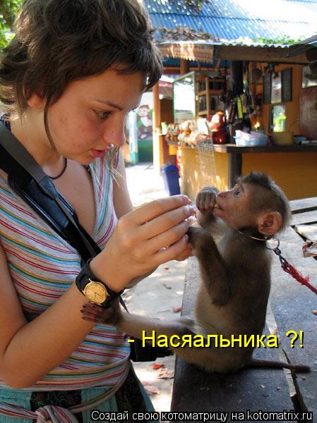 - Насяальника ?!... Котоматрица: - Насяальника ?!
