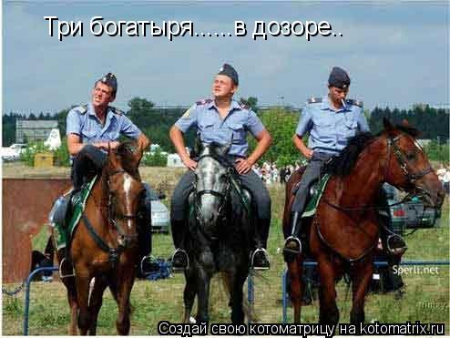 Три богатыря......в дозоре..... Котоматрица: Три богатыря......в дозоре..