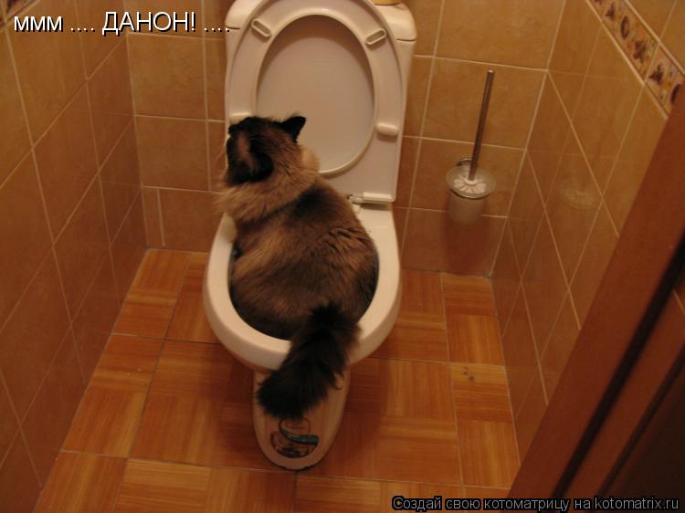 ммм .... ДАНОН! ....... Котоматрица: ммм .... ДАНОН! ....