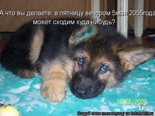 А что вы делаете в пятницу вечером 5мая 2055года? может сходим куда нибудь?... Котоматрица: А что вы делаете в пятницу вечером 5мая 2055года? может сходим куда нибудь?