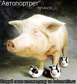"Автопортрет" ПЯТАЧОК... Котоматрица: "Автопортрет" ПЯТАЧОК