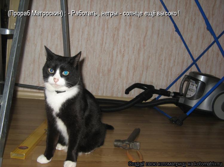 (Прораб Матроскин) : - Работать , негры - солнце ещё высоко !... Котоматрица: (Прораб Матроскин) : - Работать , негры - солнце ещё высоко !
