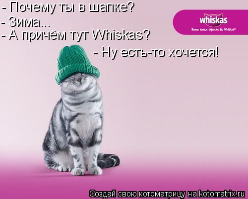 - Почему ты в шапке? - Зима... - А причём тут Whiskas? - Ну есть-то хочется!... Котоматрица: - Почему ты в шапке? - Зима... - А причём тут Whiskas? - Ну есть-то хочется!