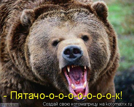 - Пятачо-о-о-о-о-о-о-о-к!... Котоматрица: - Пятачо-о-о-о-о-о-о-о-к!