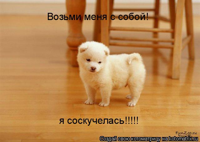 Возьми меня с собой! я соскучелась!!!!!... Котоматрица: Возьми меня с собой! я соскучелась!!!!!