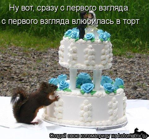 Ну вот, сразу с первого взгляда с первого взгляда влюбилась в торт... Котоматрица: Ну вот, сразу с первого взгляда с первого взгляда влюбилась в торт