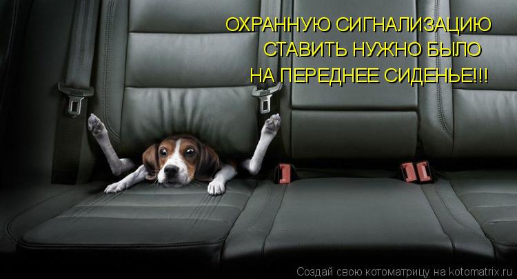 ОХРАННУЮ СИГНАЛИЗАЦИЮ СТАВИТЬ НУЖНО БЫЛО НА ПЕРЕДНЕЕ СИДЕНЬЕ!!!... Котоматрица: ОХРАННУЮ СИГНАЛИЗАЦИЮ СТАВИТЬ НУЖНО БЫЛО НА ПЕРЕДНЕЕ СИДЕНЬЕ!!!