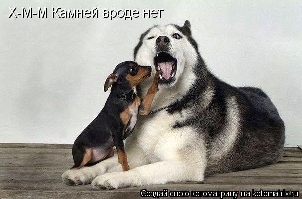 Х-М-М Камней вроде нет... Котоматрица: Х-М-М Камней вроде нет
