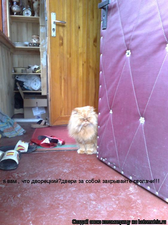 я вам , что дворецкий?двери за собой закрывайте сволачи!!!... Котоматрица: я вам , что дворецкий?двери за собой закрывайте сволачи!!!