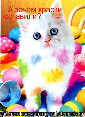 А зачем краски оставили?... Котоматрица: А зачем краски оставили?