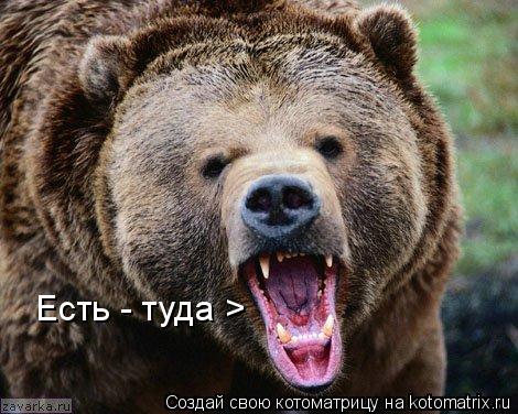 Есть - туда >... Котоматрица: Есть - туда >