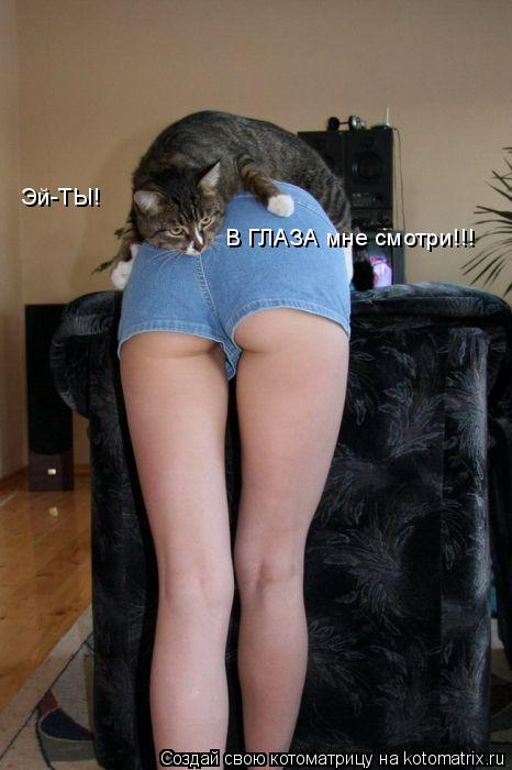 Эй-ТЫ! В ГЛАЗА мне смотри!!!... Котоматрица: Эй-ТЫ! В ГЛАЗА мне смотри!!!