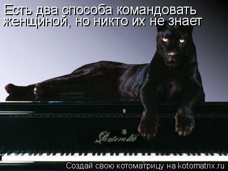 Есть два способа командовать женщиной, но никто их не знает... Котоматрица: Есть два способа командовать женщиной, но никто их не знает