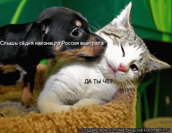 Слышь сёдня наконецто Россия выиграла ДА ТЫ ЧЕ?... Котоматрица: Слышь сёдня наконецто Россия выиграла ДА ТЫ ЧЕ?
